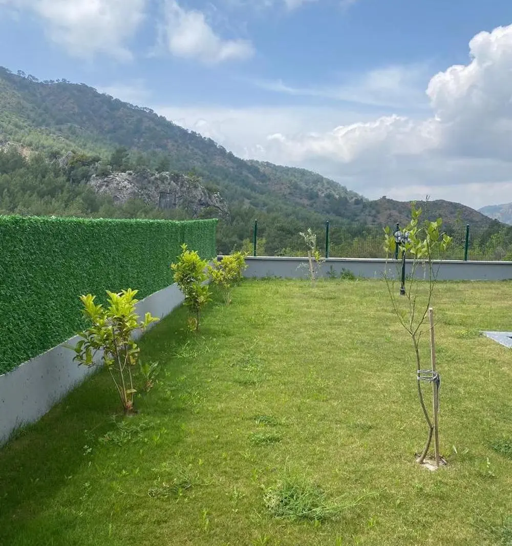 Landscaped garden
